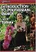Introduction to Polynesian Dance With Tumata