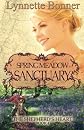 Spring Meadow Sanctuary: The Shepherd's Heart, Book 4