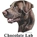 Labrador Retriever (Chocolate) Cordial - Shot Glass