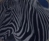 NatureTrack Zebra Mouse Pad: The Mouse Pad with Feeling (Touch the Difference)