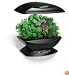 AeroGrow AeroGarden with Gourmet Herb Seed Kit, Black