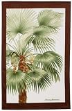 Tommy Bahama Beach Towel, Coconut Palm
