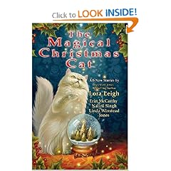 The Magical Christmas Cat