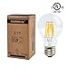 SUNMEG A19 6W LED Filament Light Bulb Dimmable, Replacement to 60w Incandescent Bulbs, 600 Lumens, E26 Medium Base, Warm White (2700K), 120VAC, (1- Pack)