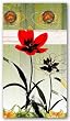 New Edition VII by Miguel Paredes 8"x20" Art Print Poster