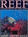SC-Reef