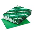 Wausau Paper AstroBright Color Laser/Inkjet Paper, 24 lb, Letter Size (8.5 x 11), Green, 500 Sheets (22541)