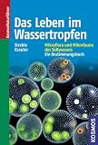 Das Leben im Wassertropfen: Mikroflora und Mikrofauna des S&uuml;&szlig;wassers - Ein Bestimmungsbuch - Heinz Streble, Dieter Krauter
