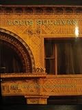 Louis Sullivan : the function of ornament