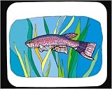Mouse Pad with animal, aquatic, fish