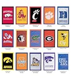 Double-Sided Fade-Resistant Official Collegiate House Flags in James Madison University
