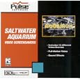 Saltwater Aquarium by GDL Multimedia