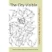 The City Visible:  Chicago Poetry for the New Century