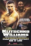 Vitali Klitschko vs Danny Williams Movie Poster (11 x 17 Inches - 28cm x 44cm) (2004) Style A -(Vitali Klitschko)(Danny Williams)