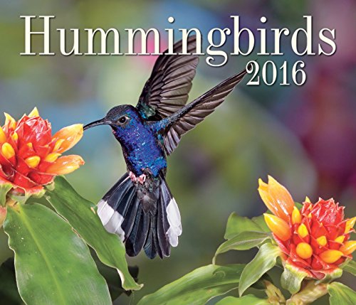 Hummingbirds 2016