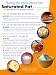 Saturated Fat Education Laminated Poster Print, 18x24