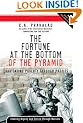Fortune at the Bottom of the Pyramid: Eradicating Poverty Through Profits