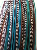 Sexy Sparkles 5 Feathers 4"-6" Turquoise, Genuine Grizzly & Browns Extension for Hair Extension