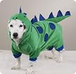 LARGE - Dogzilla Dog Costume