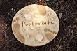Footprints Garden Stone