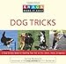 Knack Dog Tricks: A Step-by-Step Guide to Teaching Your Pet to Sit, Catch, Fetch, & Impress (Knack: Make It easy)