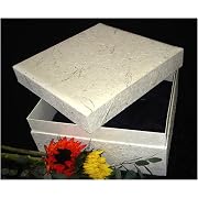 18" Square Biodegradable Pet Casket with Floral Design