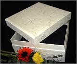 18 Square Biodegradable Pet Casket with Floral Design