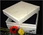 18" Square Biodegradable Pet Casket with Floral Design