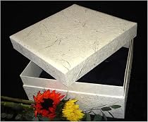 18" Square Biodegradable Pet Casket with Floral Design