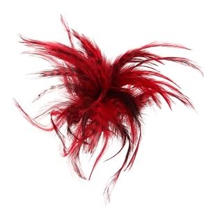 Feder Brosche Haarklammer Haarspange Haarclips Nadel TOP Rot