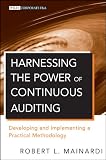 Harnessing the Power of Continuous Auditing: Developing and