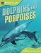 Animal Lives: Dolphins and Porpoises