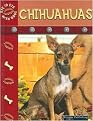 Chihuahuas (STONE, LYNN M. EYE TO EYE WITH DOGS II.) (Reinforced Hardcover)