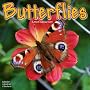 2009 Butterflies Wall Calendar