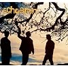 Echobrain