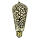 Sunlite 40S19/AQ/T/GF 40-watt  Antique Edison S19, Medium Base, Golden Fleck