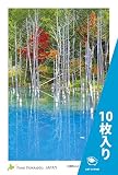 PC-219-10 [ １０枚入り ] 北海道 風景 名所 はがき ポストカード 美瑛町 青い池 【 Postcards from Hokkaido, JAPAN “ Blue Pond in Biei ” 】