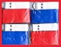 FLAG FOOTBALL SET