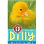 Dilly: The Lost Duckling (Animal Rescue)