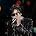 Alain Bashung