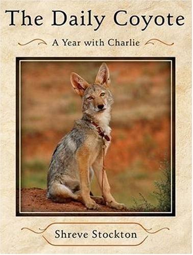 Childrens Toyshop  Books : The Daily Coyote: A Story of Love Survival and Trust in the Wilds of Wyoming