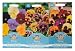 Mr Fothergill's Seeds Pansy Collection