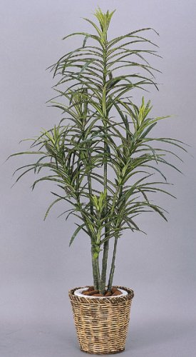 光触媒アートフラワー　ドラセナコンシンネＡ４２０７－１５０　 