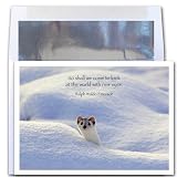 New Eyes - New Year Holiday Cards, Box of 10 cards and envelopes
