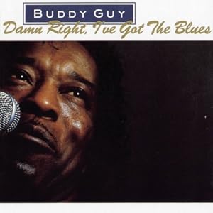Cover of "Damn Right I Got the Blues"