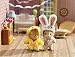 Calico Critters Costume Critters - Bunny and Chick