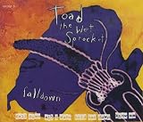 Toad The Wet Sprocket Falldown 1994 Austrian CD single 6603685