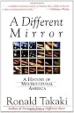 A Different Mirror