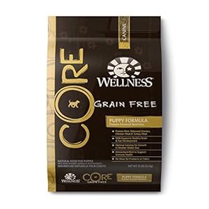 Wellness CORE Natural Dry Grain Free Puppy Food, Chicken & Turkey, 12-Pound Bag