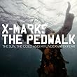 The Sun,the Cold and My Underwater Fear